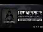 What Wings Once Held - Growth/Perspective ft. Ryan Kirby