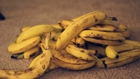 A Song of Peels and Bananas