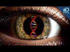 Can Gene Therapy Cure Blindness?