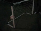 AMAZING! DOG PLAYING SOCCER AND SCORING 2 GOALS!! MUST WATCH