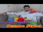 The Real World: Sesame Street