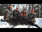 Russian Boar - Hunt in the Deep Snow