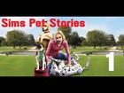 Lets Play: The Sims Pets Stories [S1] - Part.1 - (Meet Alice)