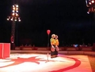 Les clowns du cirque Lydia Zavatta font leur show. Et pour savoir ce qu'il y a dans la boîte, allez voir le spectacle...