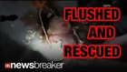 AMAZING VIDEO: Baby Flushed Down Toilet Rescued Alive