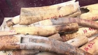 Philippines set to destroy five tonnes of seized ivory