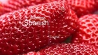 Spanishheaven.com, Spanish courses in Spain