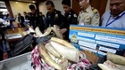 Thailand seizes 100 kilos of ivory from Africa