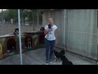 Perrito Orinando A Una Chica / Dog Urinating On A Girl